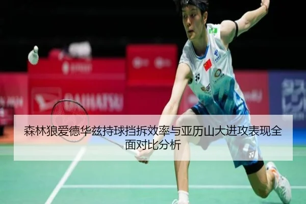 森林狼爱德华兹持球挡拆效率与亚历山大进攻表现全面对比分析（kaiyun）